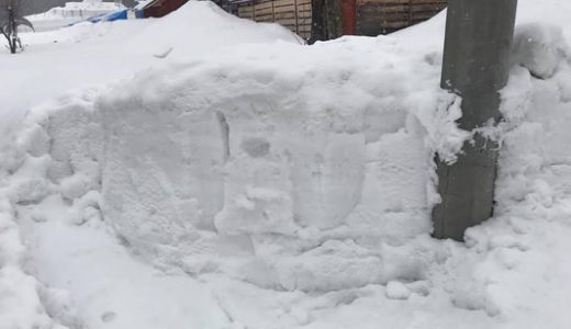 ミニ雪像 2019 ポケモンの作り方 その１