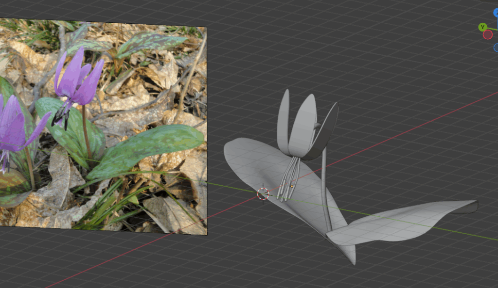 カタクリのモデリング(現状)