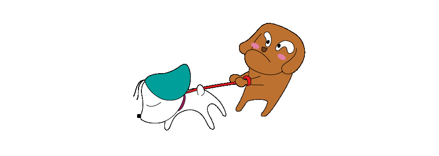 12_犬の散歩